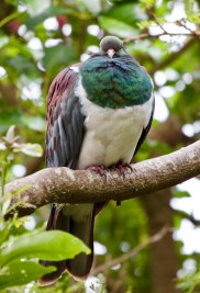 6issikfitbgxht25vnhja_thumb_10a99